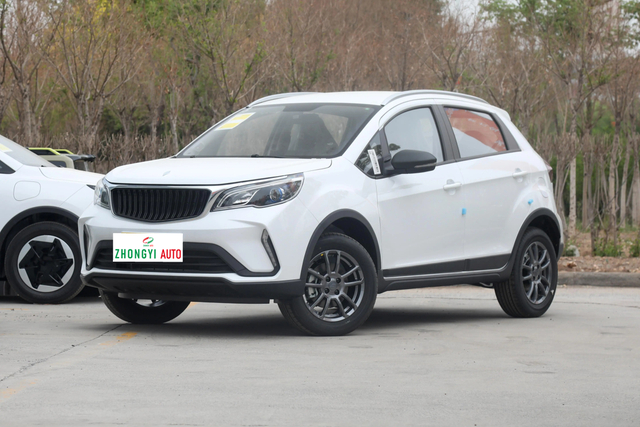 Geely Livan 3X Pro 2024 1.5L Manual XiaoMeng Version Auto Adult Price the Secondhand Large Car Vehicle