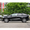 Used SUV Electric Car Cadi-llac Iq Optiq MID SUV New Energy Hot Sale Cheap Price Adult Auto Vehicle