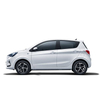 Wholesale New Energy Vehicles Electric New 2023 Changan Benben E-Star 310Km