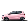 Wholesale New Energy Vehicles Electric New 2023 Changan Benben E-Star 310Km