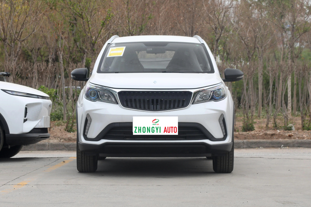 Geely Livan 3X Pro 2024 1.5L Manual XiaoMeng Version Auto Adult Price the Secondhand Large Car Vehicle