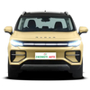 BEV 2023 550km Gelly RD6 Midsize Pickup Radar 6 Pick Up Camper Electric Car Geely Radar RD6 New Energy Vehicle Pickup