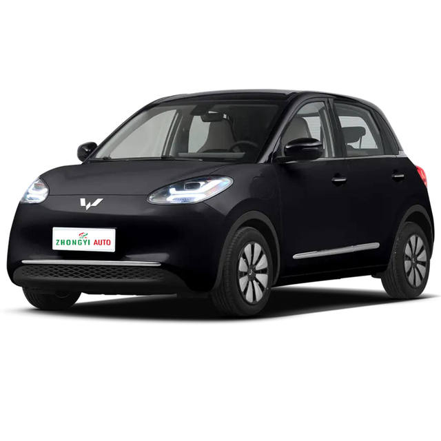 New Car 2023 2024 Wuling Binguo EV 5 Door 4 Seat right hand drive cars used Explosive Models Cost-effective Mini Electric Car