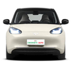 2023 Wuling Binguo EV 5 Door 4 Seat Wiling Bingo right hand drive cars used Explosive Models Cost-effective Mini Electric Car