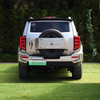 Tank 400 Suv Used Car Gasoline Adult Vehicles Sport Suv Changcheng Tank 500 2022 2023 Made In China In Stock For Sale
