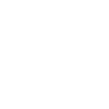 logo-100-b