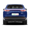 China new energy vehicles hondas ens1 Electric 510km High Speed Suv Made In China Hondas Ens1 adult smart auto suv car